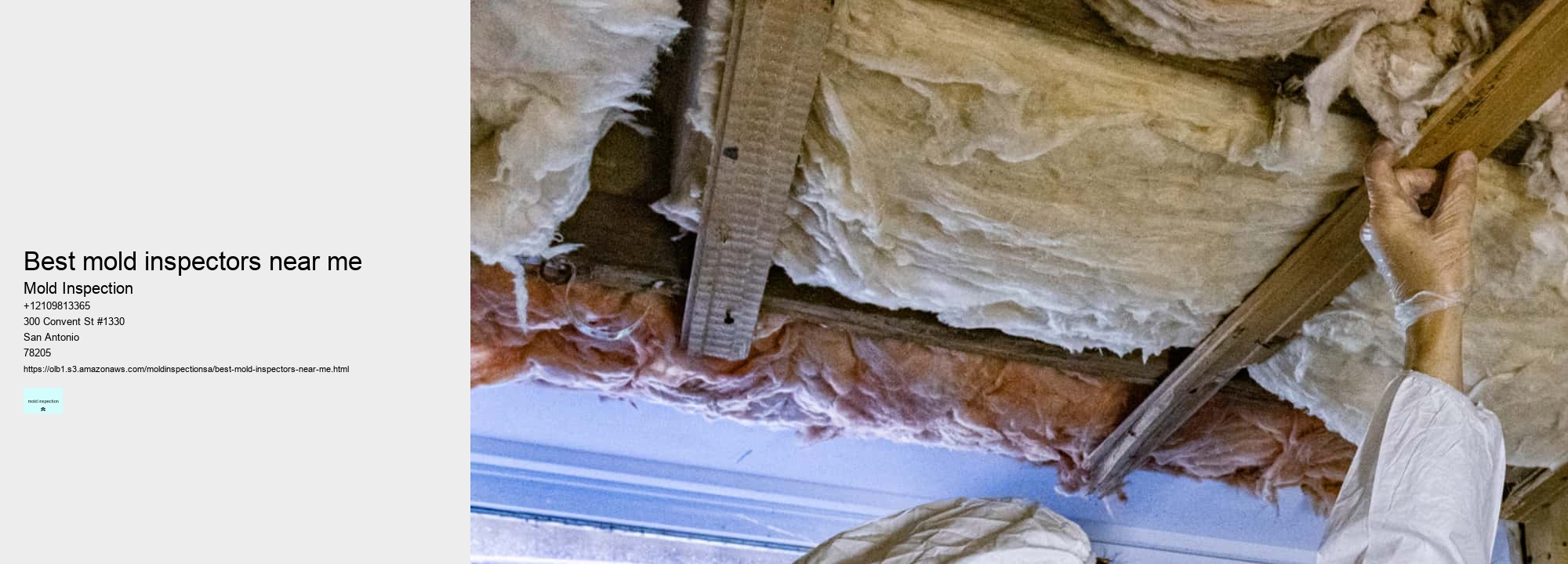 The Benefits of Professional Mold Removal Services